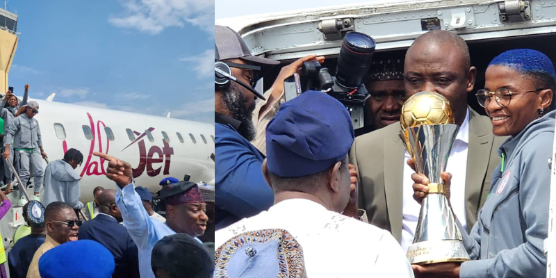 Falcons at the Airport