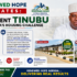 RENEWED HOPE ESTATES: HOW PRESIDENT TINUBU IS TACKLING NIGERIA'S HOUSING CHALLENGE – DR. IJEOMAH ARODIOGBU
