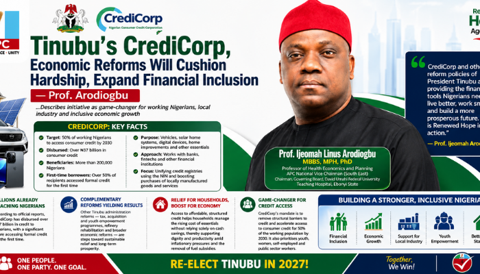 Tinubu’s CrediCorp, Economic Reforms Will Cushion Hardship, Expand Financial Inclusion — Prof. Arodiogbu