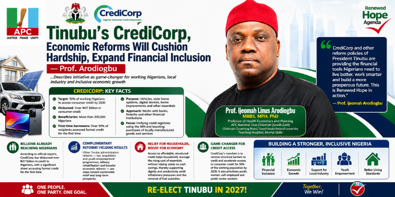 Tinubu’s CrediCorp, Economic Reforms Will Cushion Hardship, Expand Financial Inclusion — Prof. Arodiogbu