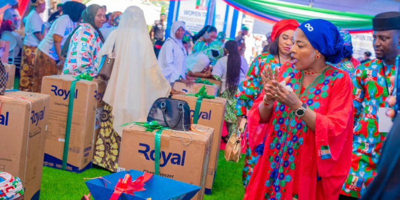 at the APC Women Stakeholders’ Mobilisation and Empowerment Pre-Inaugural Summit